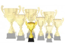 1023 G - Premium Cup